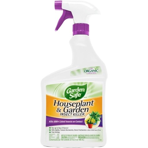 spectrum houseplant & garden insect spray 24 oz bottle