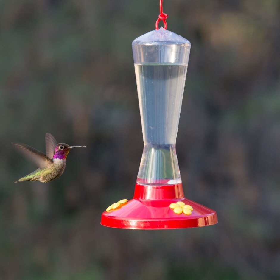PLASTIC HUMMINGBIRD FEEDER