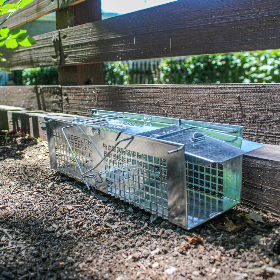 HAVAHART 2DOOR EXTRA SMALL ANIMAL TRAP