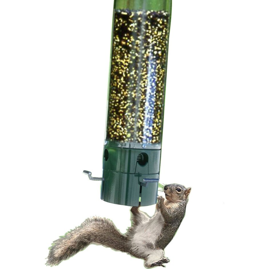 THE SQUIRRELRESISTANT WILD BIRD FEEDER
