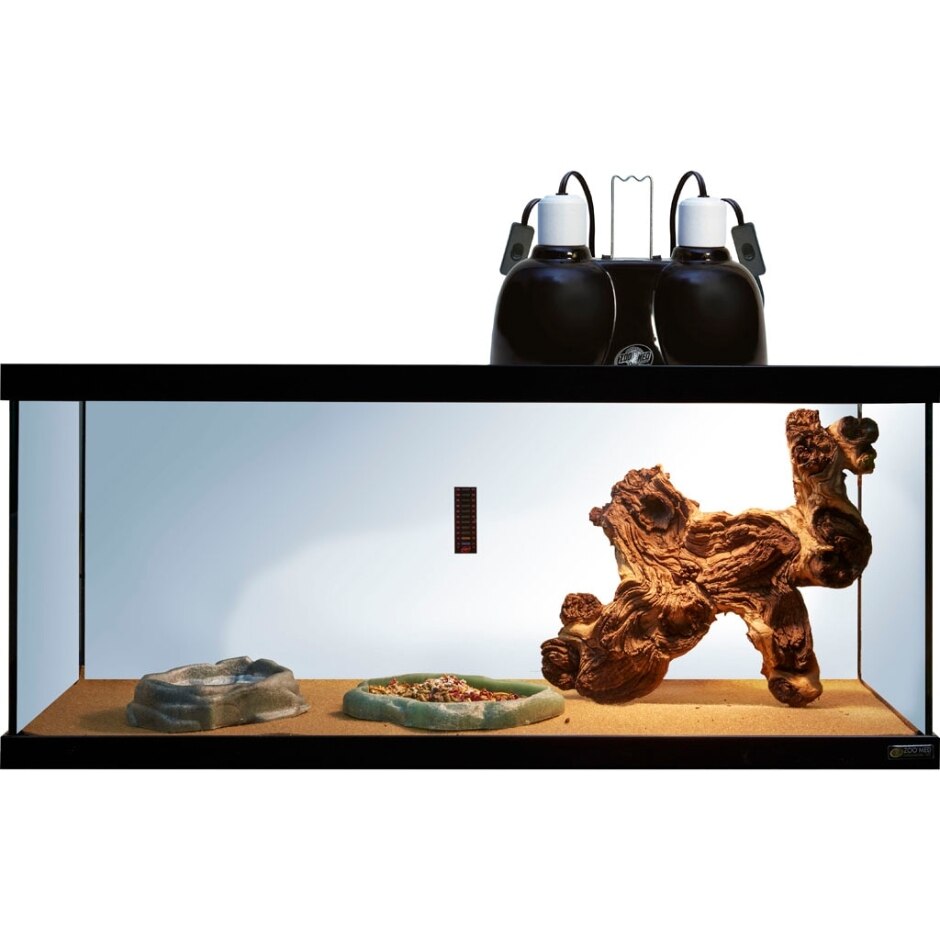 REPTIHABITAT PREMIUM JUVENILE BEARDED DRAGON KIT