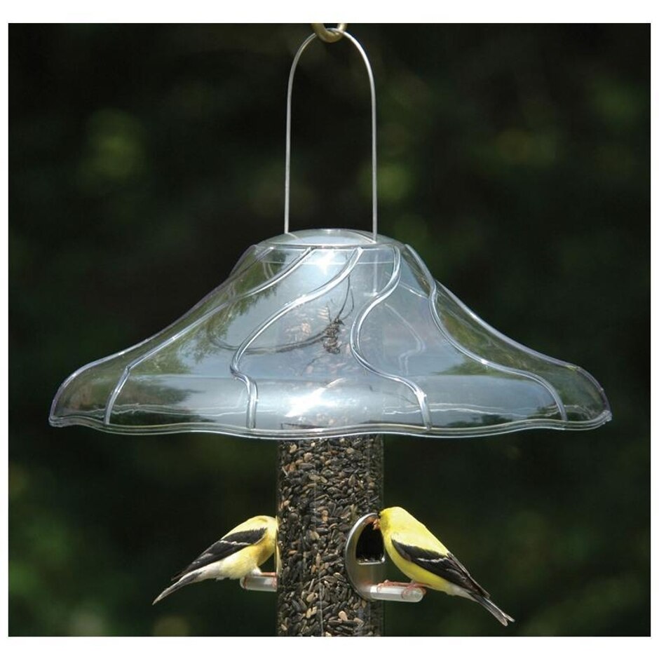 Fancy Bird Feeder Dome