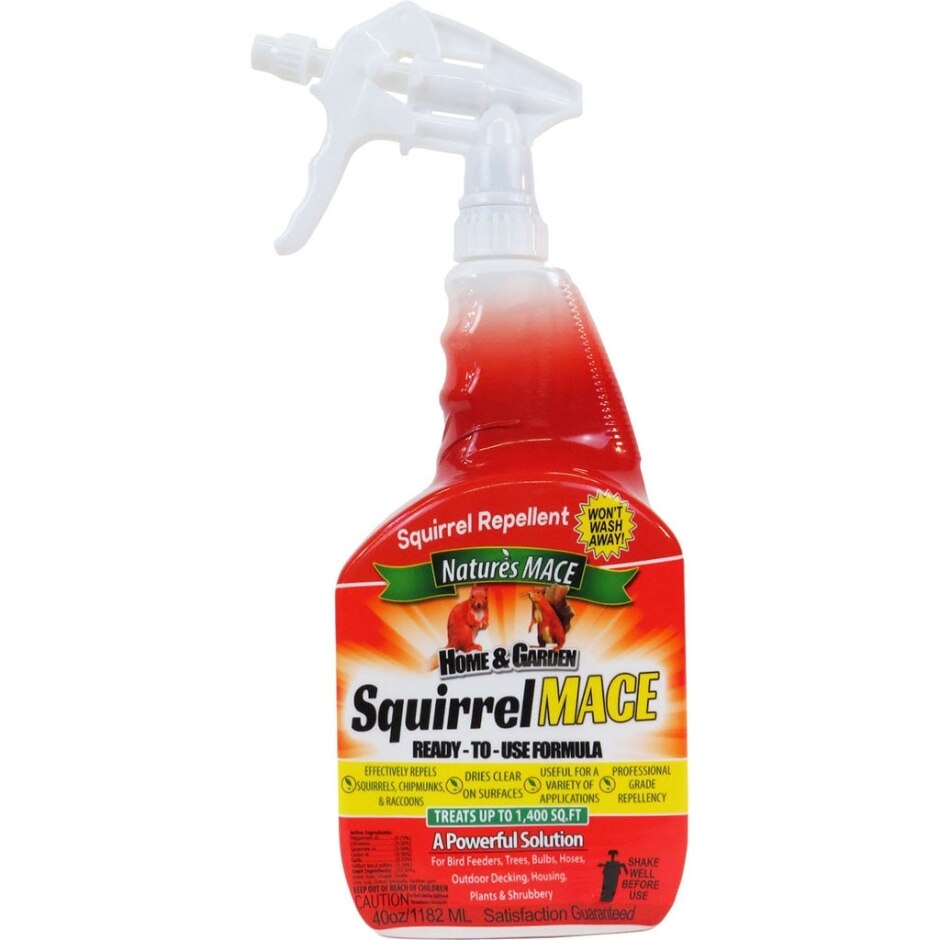 Squirrel Repellent Ready To Use