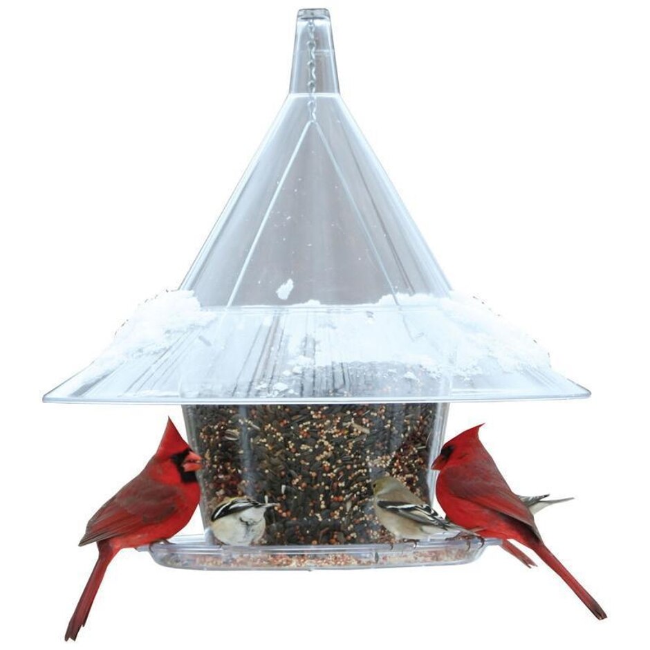 Mandarin Sky Cafe Bird Feeder