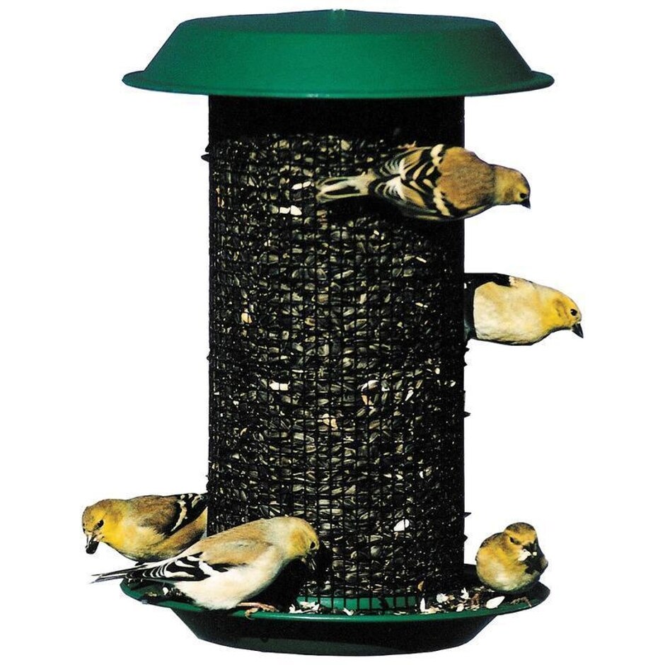 Magnum Black Oil Sunflower Seed Feeder