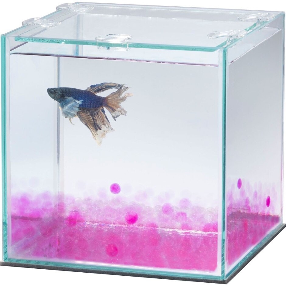AQUEON PURE BETTA BEADS