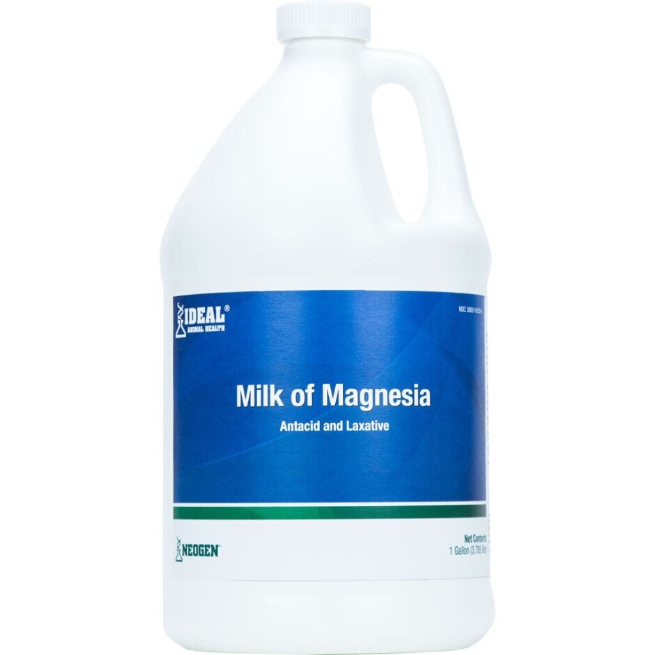 MILK OF MAGNESIA ANTACID & LAXATIVE