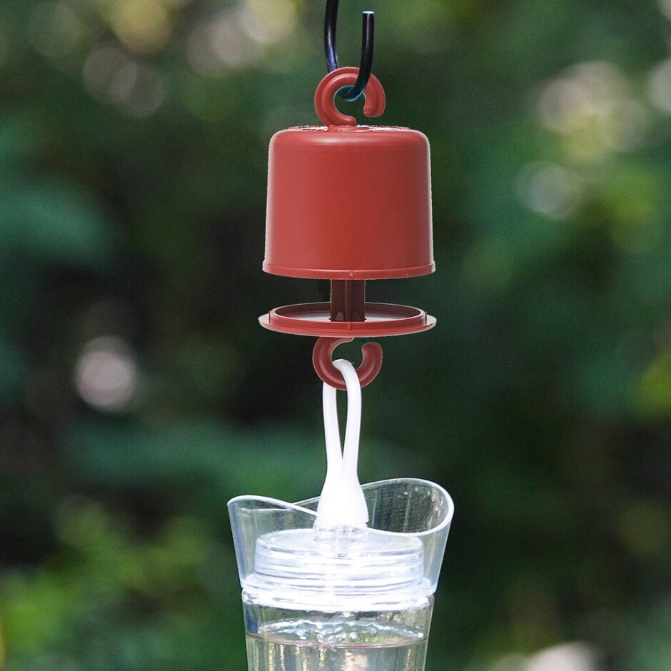 ANT GUARD FOR HUMMINGBIRD FEEDERS