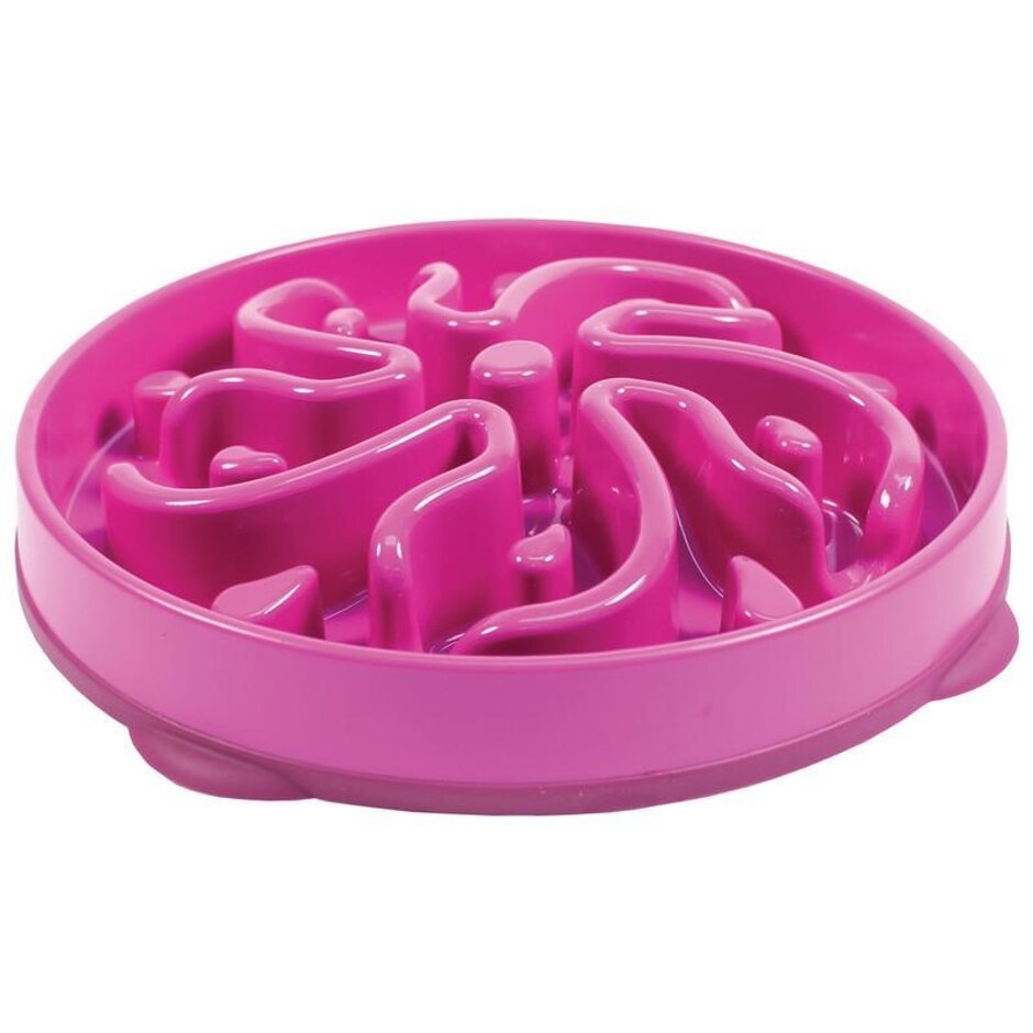 Dog Games Flower Slo Bowl Slow Feed