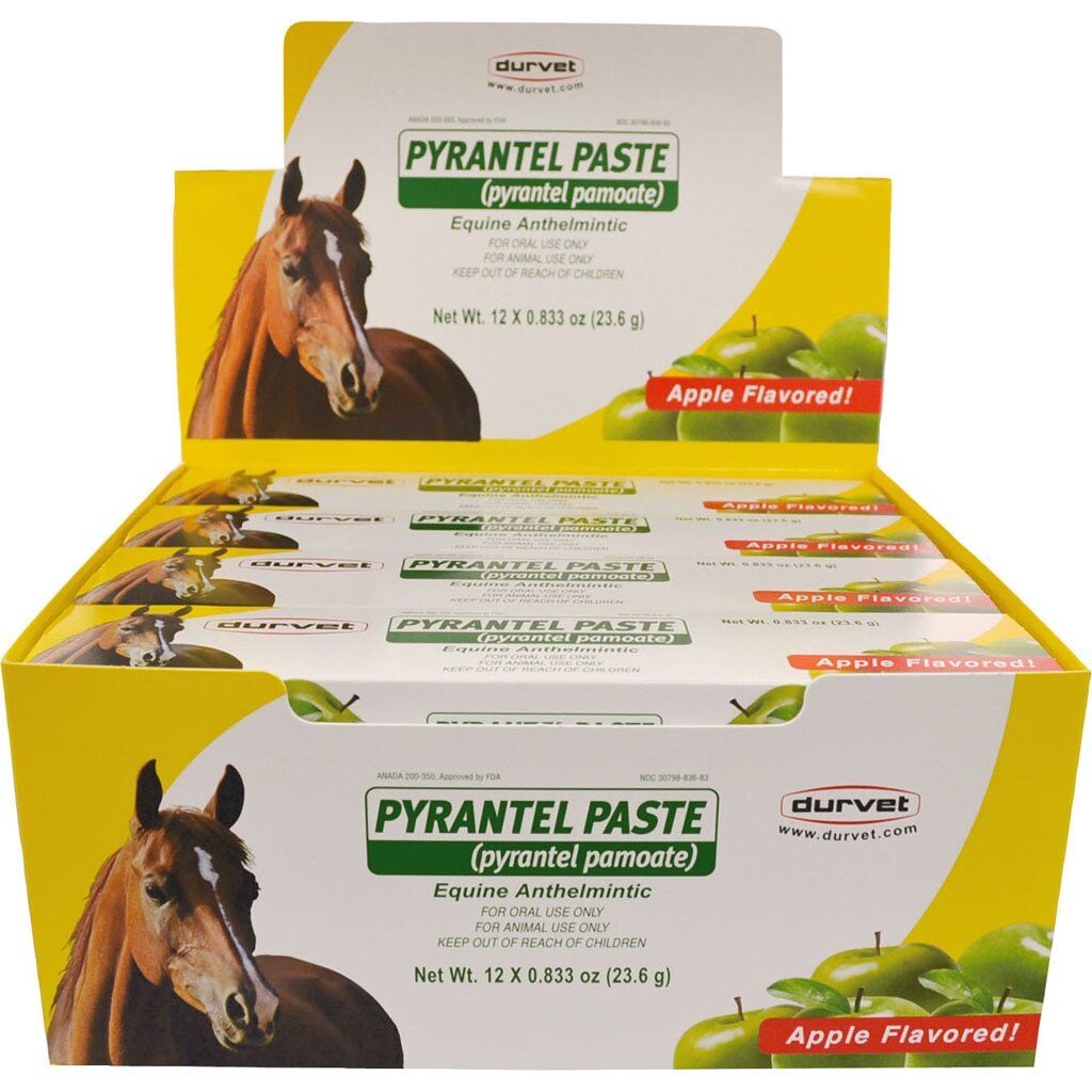 DURVET PYRANTEL PASTE WORMER FOR HORSES DISPLAY
