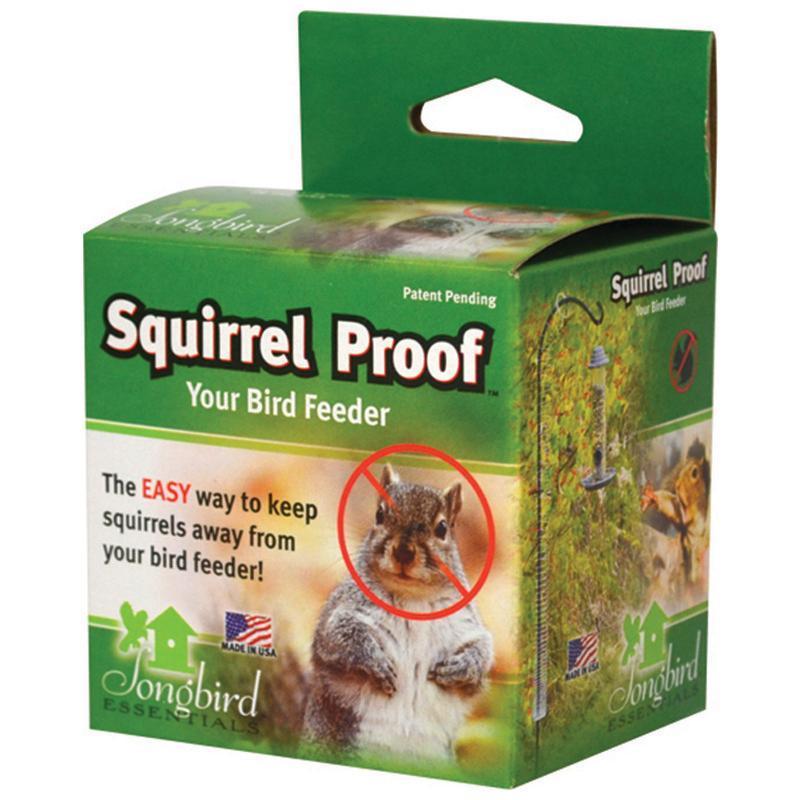 Squirrel Proof Spring 1