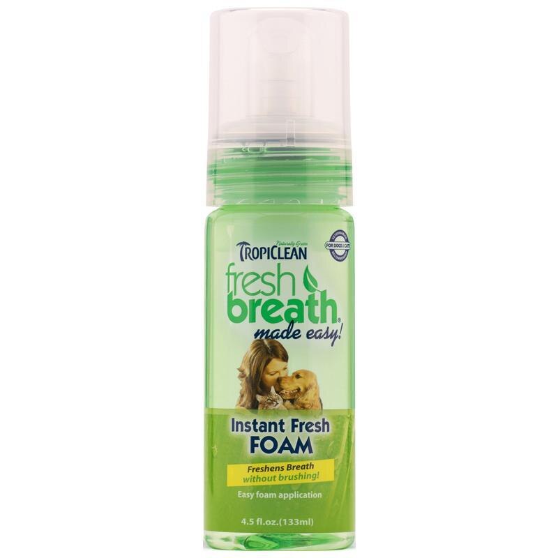 FRESH BREATH ORAL CARE FOAM