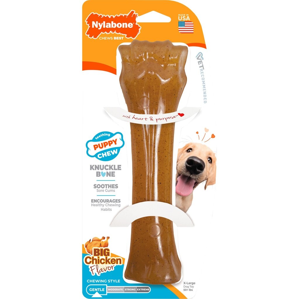NYLABONE PUPPY CHEW BONE