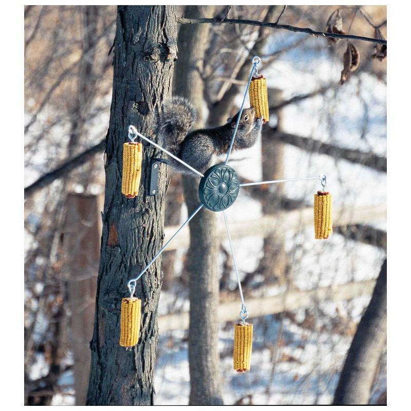 SQUIRRELGOROUND COB CORN FEEDER