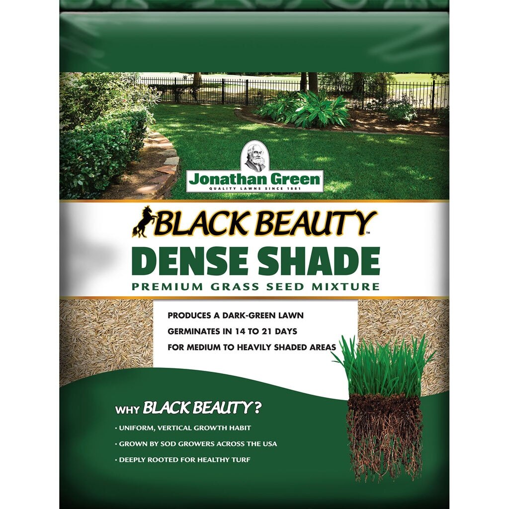 DENSE SHADE GRASS SEED MIXTURE