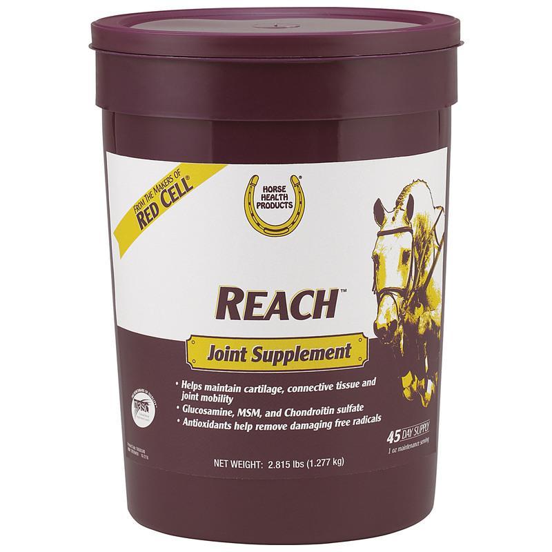 REACH JOINT SUPPLEMENT FOR HORSES