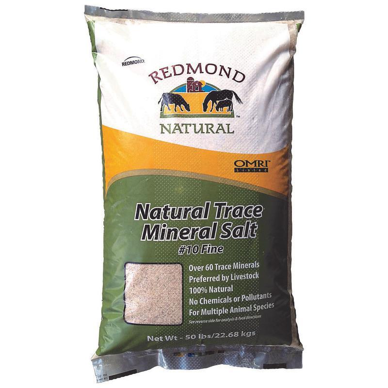REDMOND NATURAL TRACE MINERAL SALT 10 FINE
