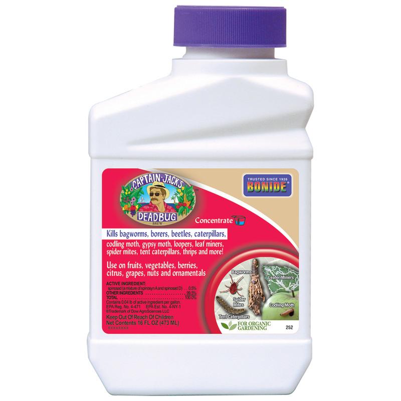 Captain Jacks Deadbug Brew Concentrate