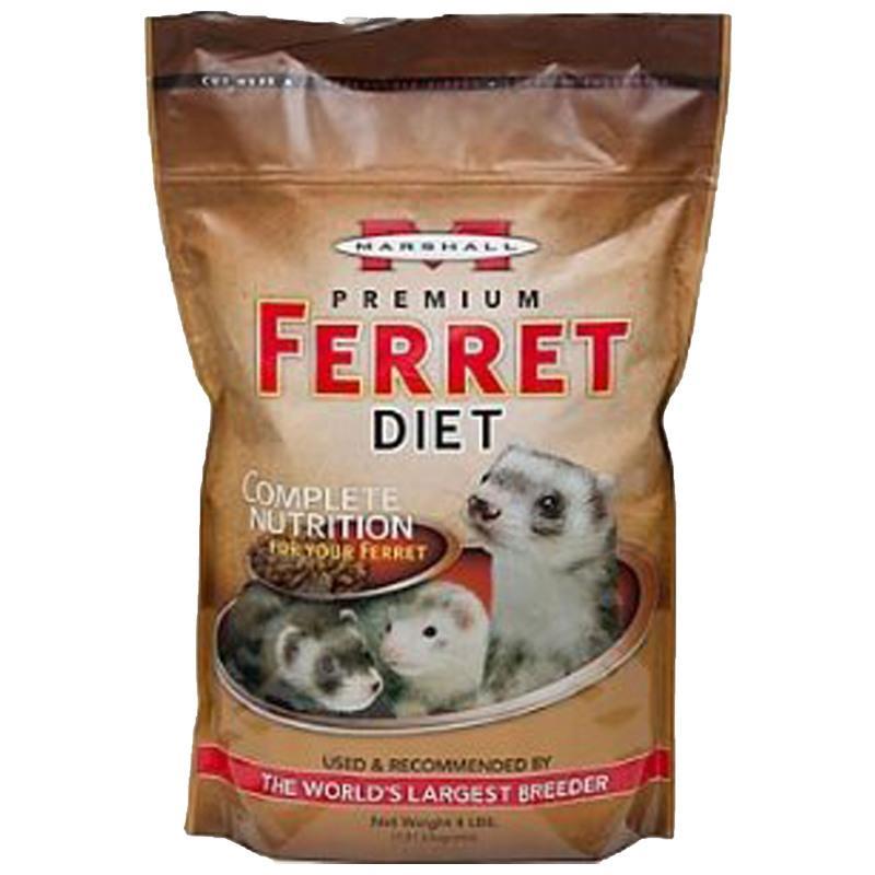 What Determines Ferret Size Genetics Diet And More - 727egcr