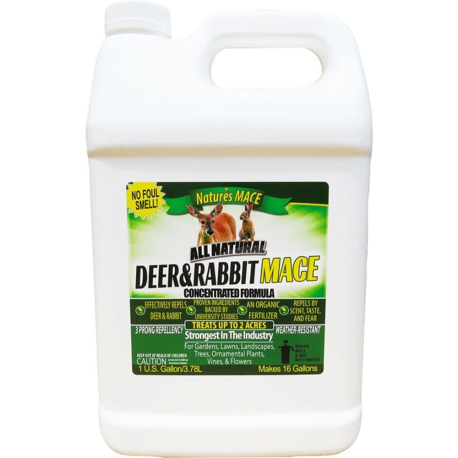 Deer Rabbit Repellent Concentrate